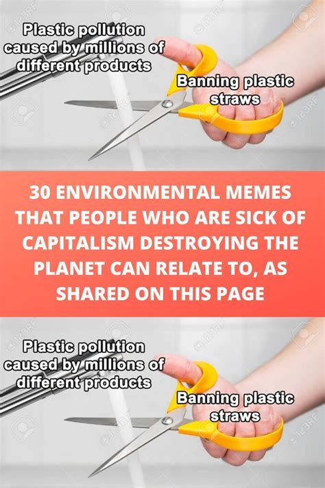 30 Environmental Memes That People Who Are Sick .